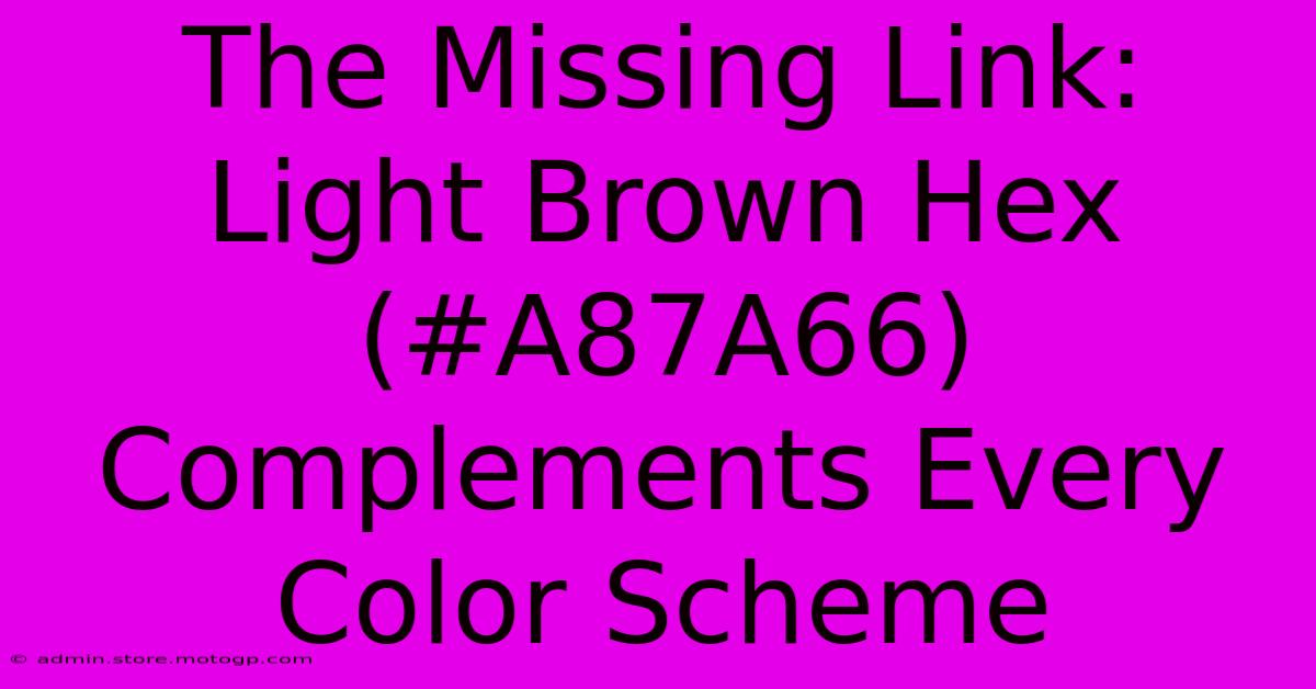 The Missing Link: Light Brown Hex (#A87A66) Complements Every Color Scheme