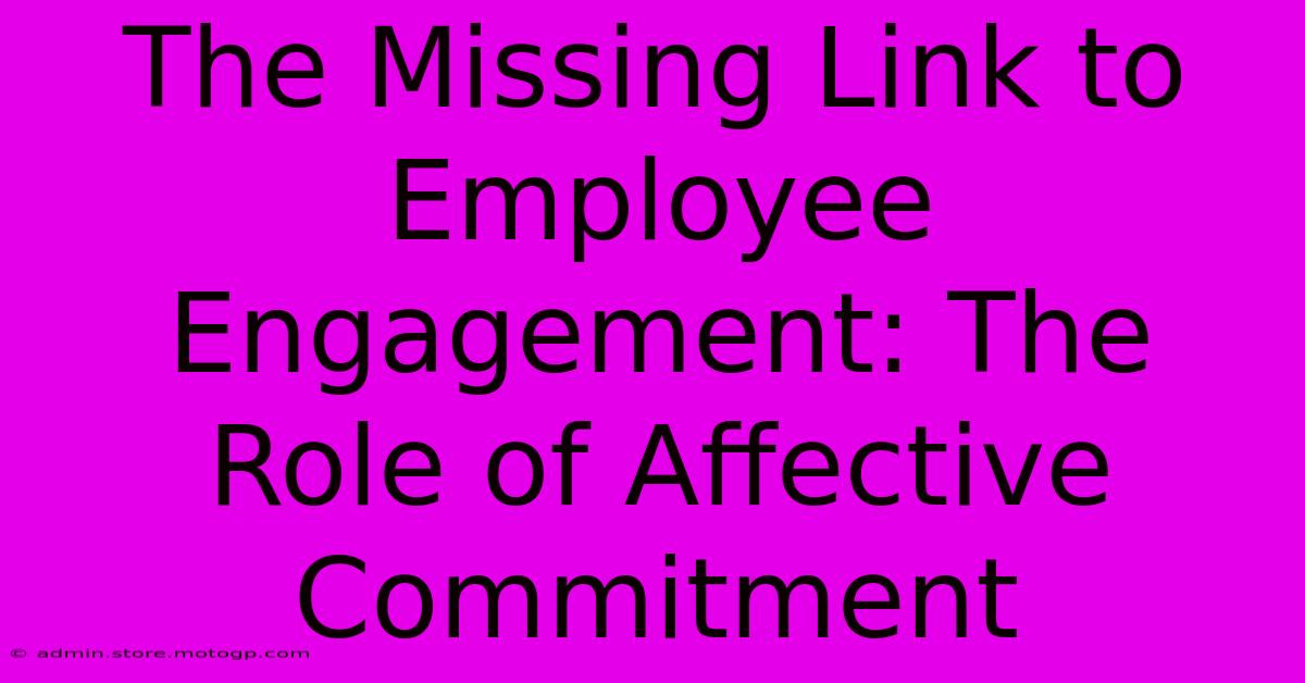 The Missing Link To Employee Engagement: The Role Of Affective Commitment