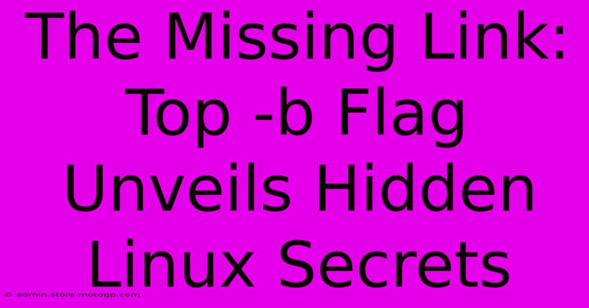 The Missing Link: Top -b Flag Unveils Hidden Linux Secrets