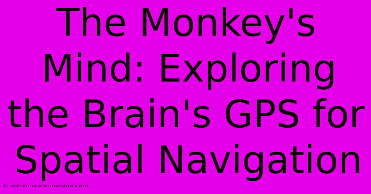 The Monkey's Mind: Exploring The Brain's GPS For Spatial Navigation