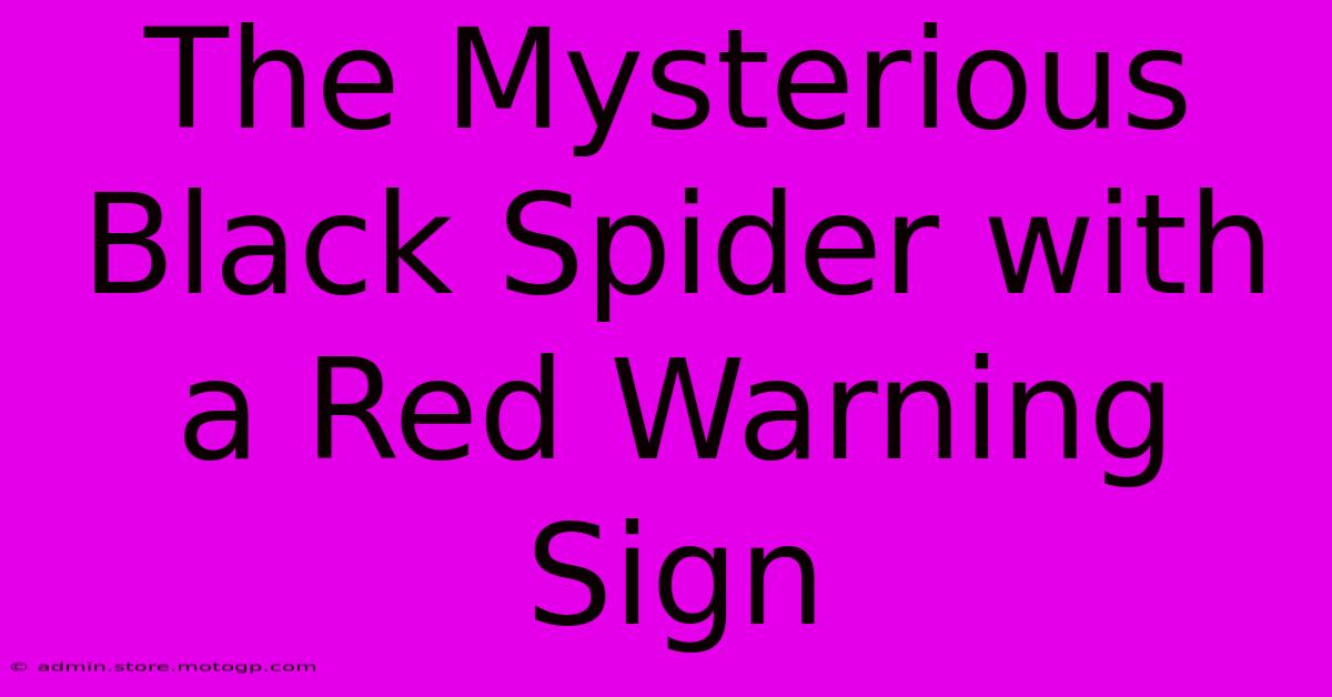 The Mysterious Black Spider With A Red Warning Sign