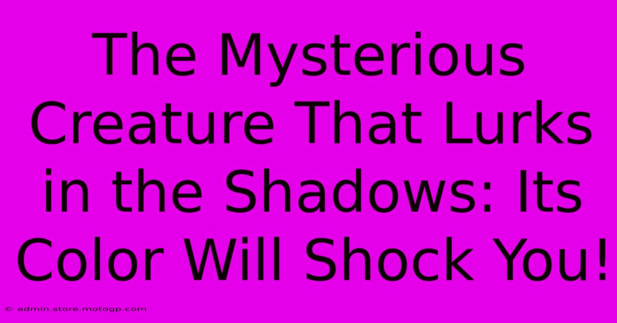 The Mysterious Creature That Lurks In The Shadows: Its Color Will Shock You!