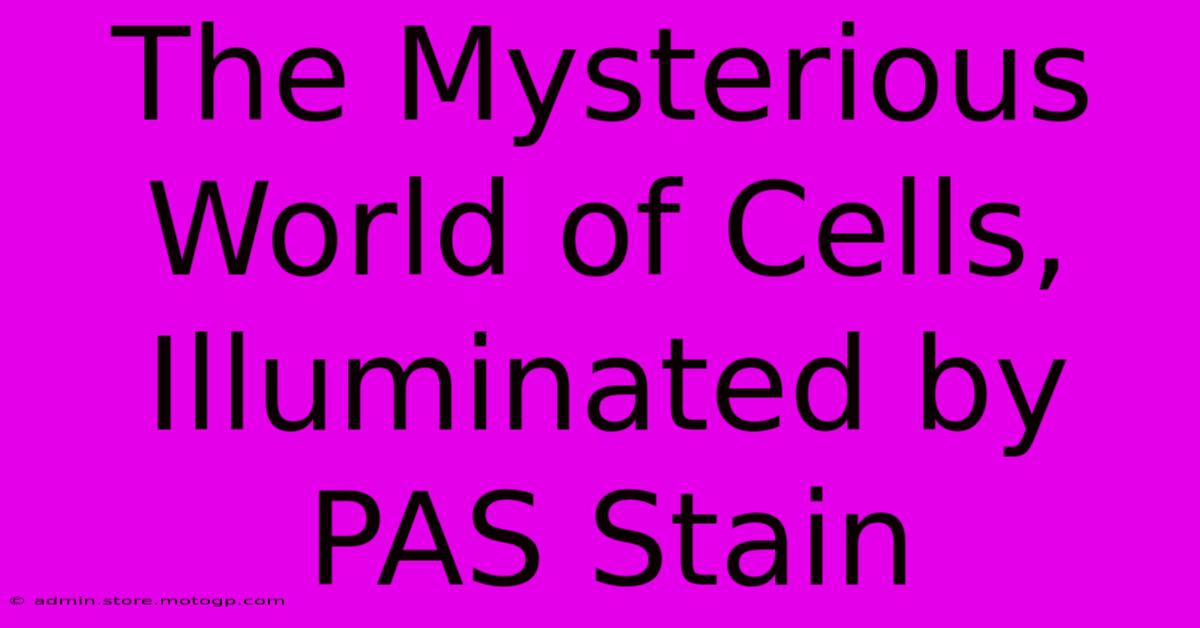 The Mysterious World Of Cells, Illuminated By PAS Stain