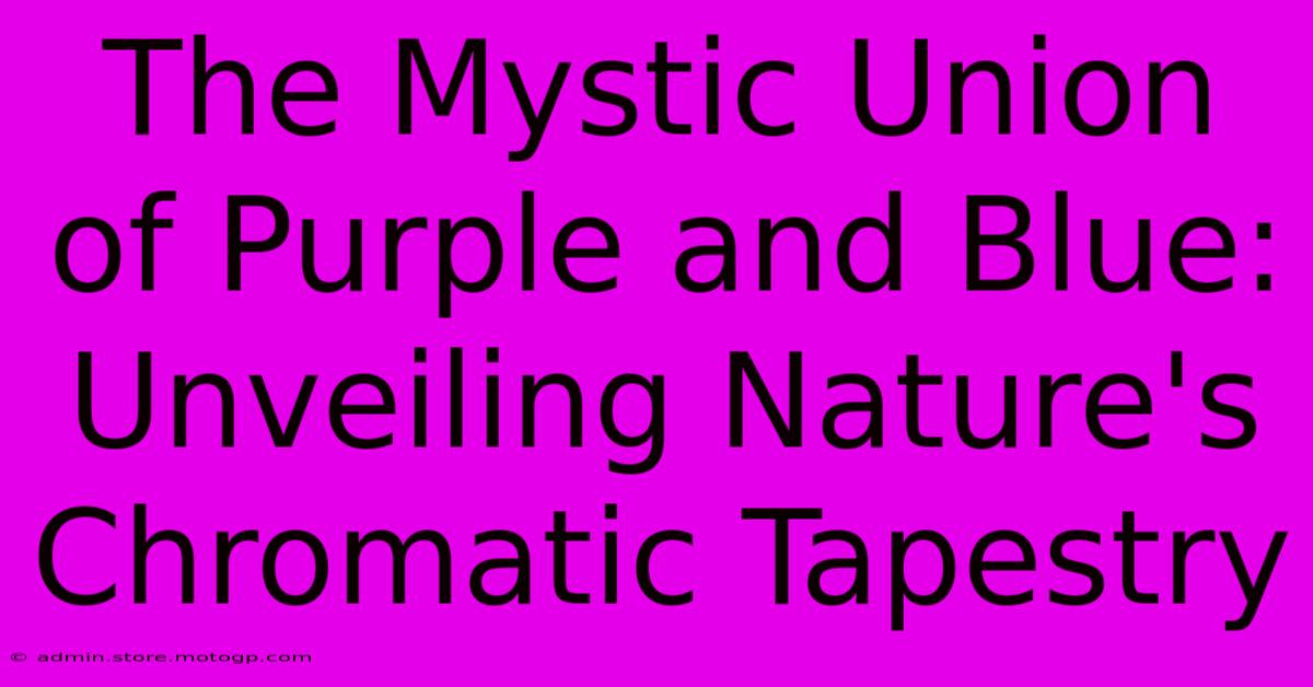 The Mystic Union Of Purple And Blue: Unveiling Nature's Chromatic Tapestry