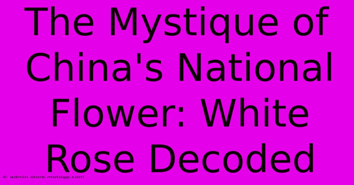 The Mystique Of China's National Flower: White Rose Decoded