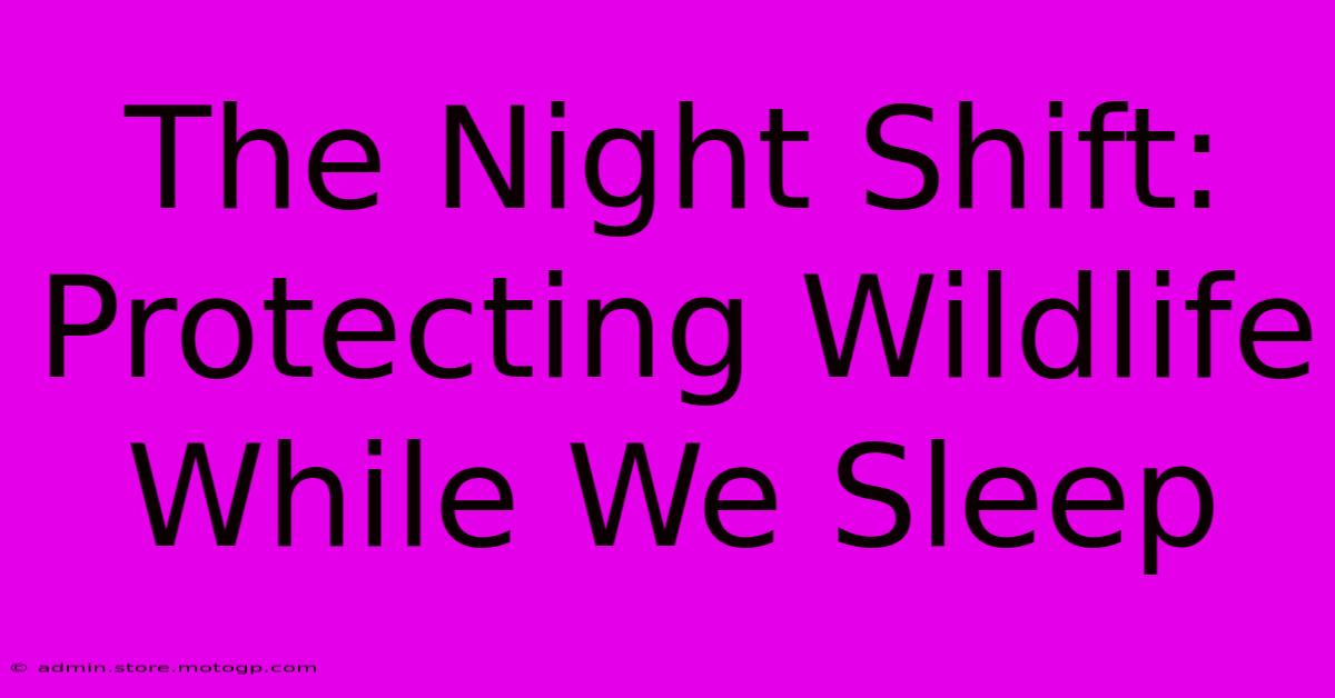 The Night Shift: Protecting Wildlife While We Sleep