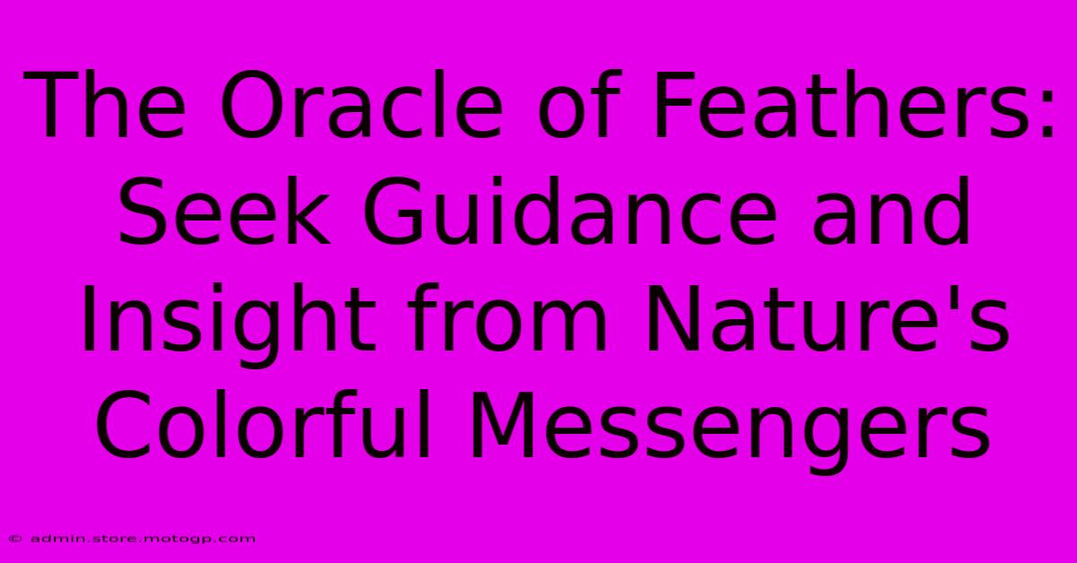 The Oracle Of Feathers: Seek Guidance And Insight From Nature's Colorful Messengers