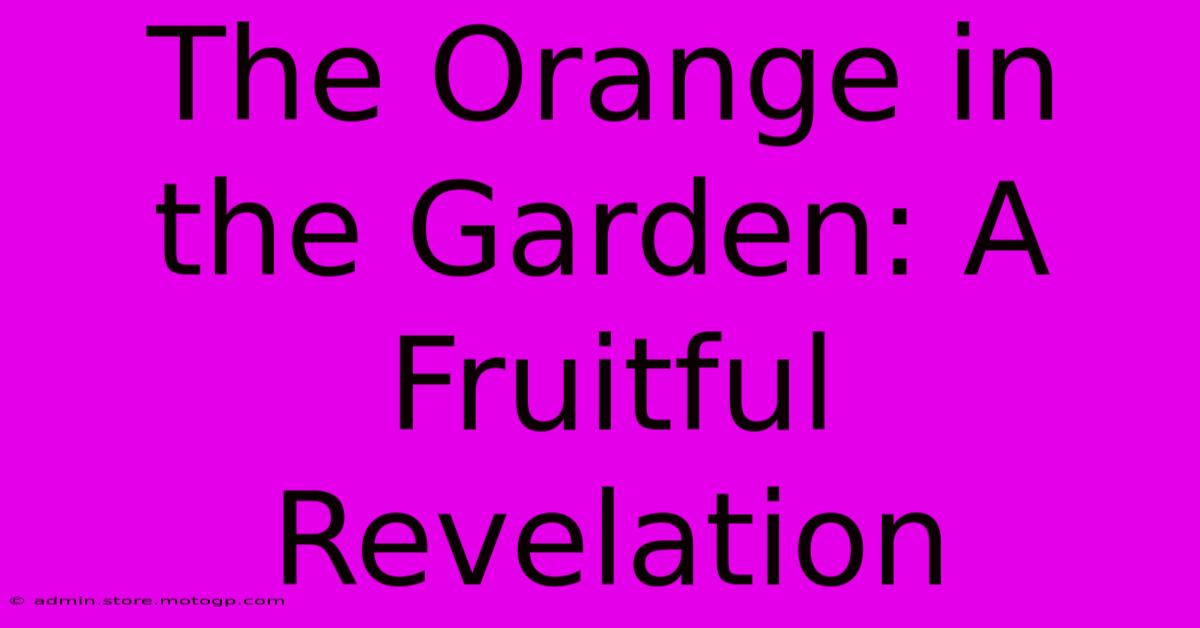 The Orange In The Garden: A Fruitful Revelation