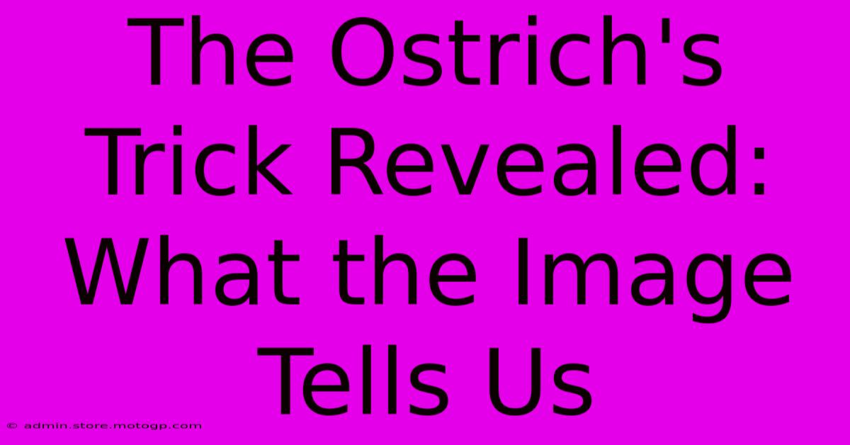 The Ostrich's Trick Revealed: What The Image Tells Us