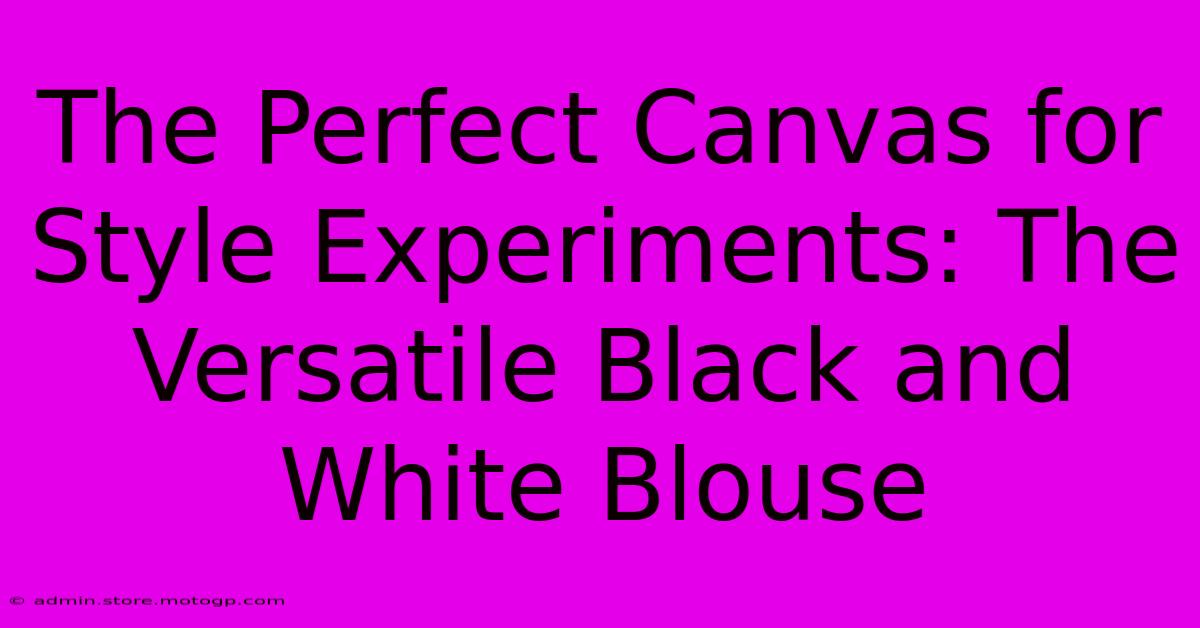 The Perfect Canvas For Style Experiments: The Versatile Black And White Blouse