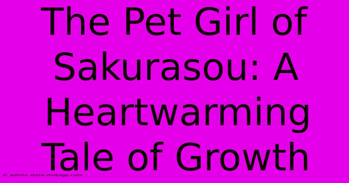 The Pet Girl Of Sakurasou: A Heartwarming Tale Of Growth