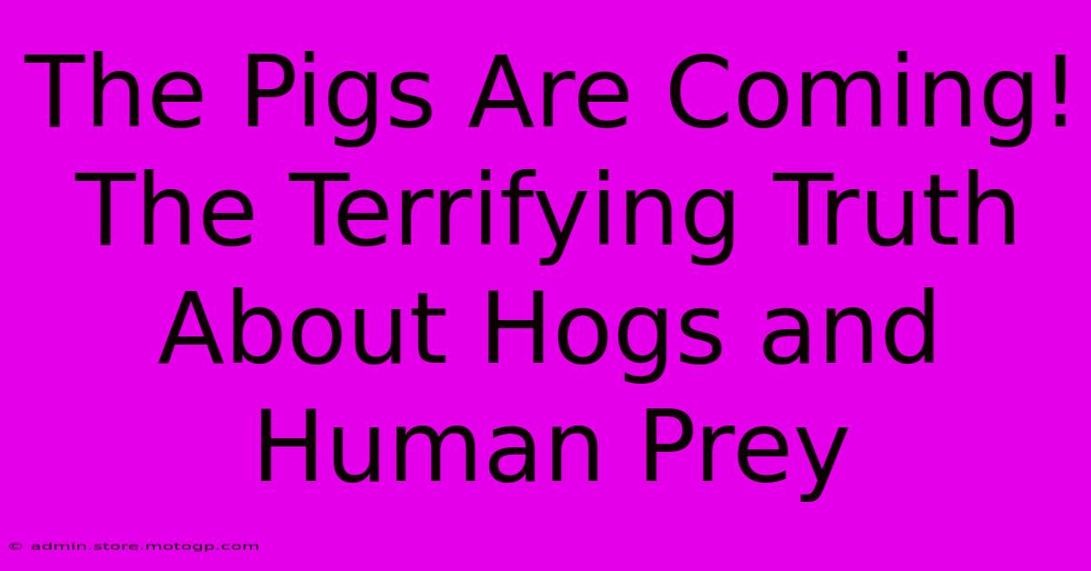 The Pigs Are Coming! The Terrifying Truth About Hogs And Human Prey