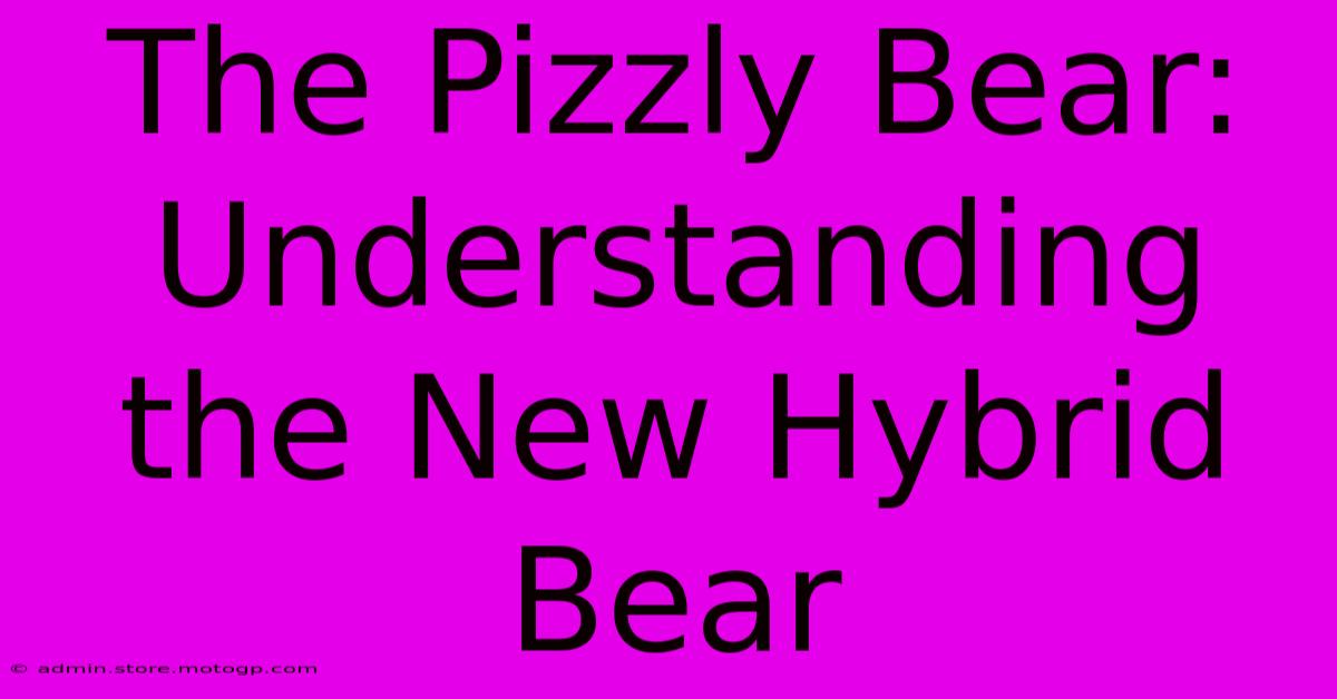 The Pizzly Bear: Understanding The New Hybrid Bear