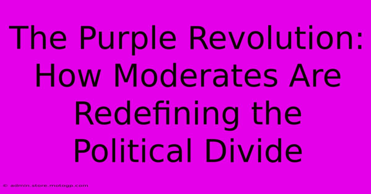 The Purple Revolution: How Moderates Are Redefining The Political Divide