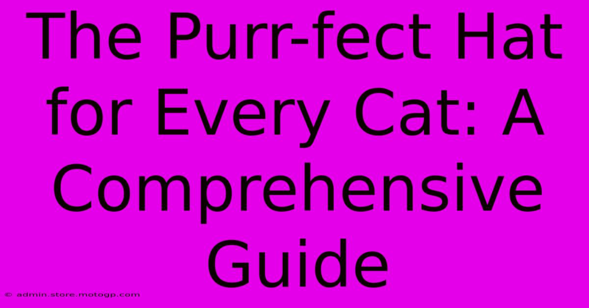 The Purr-fect Hat For Every Cat: A Comprehensive Guide