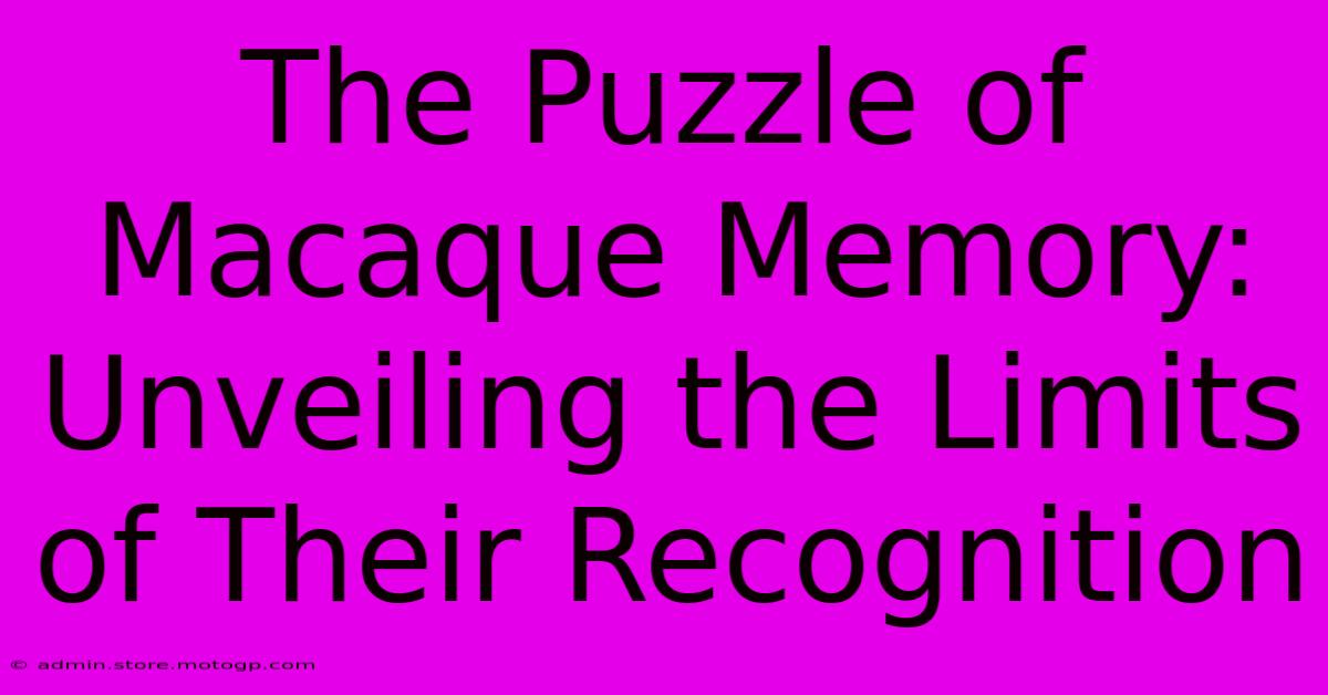 The Puzzle Of Macaque Memory: Unveiling The Limits Of Their Recognition