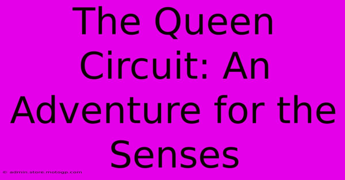 The Queen Circuit: An Adventure For The Senses