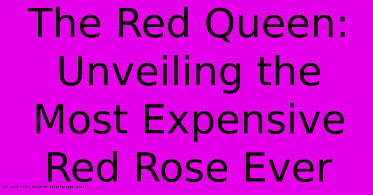 The Red Queen: Unveiling The Most Expensive Red Rose Ever