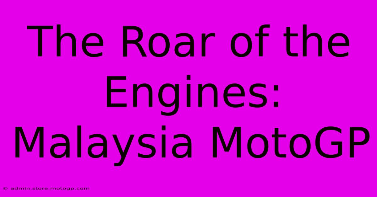 The Roar Of The Engines: Malaysia MotoGP