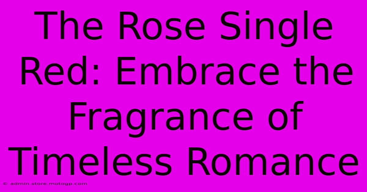 The Rose Single Red: Embrace The Fragrance Of Timeless Romance