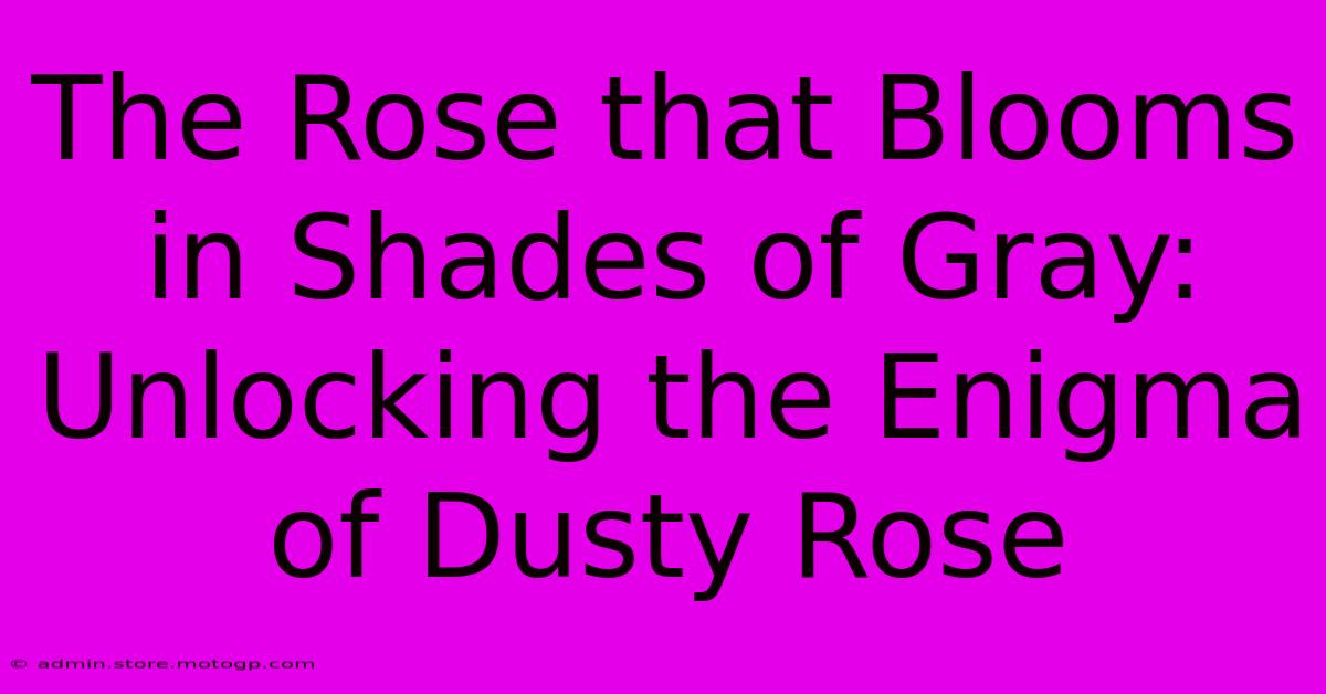 The Rose That Blooms In Shades Of Gray: Unlocking The Enigma Of Dusty Rose