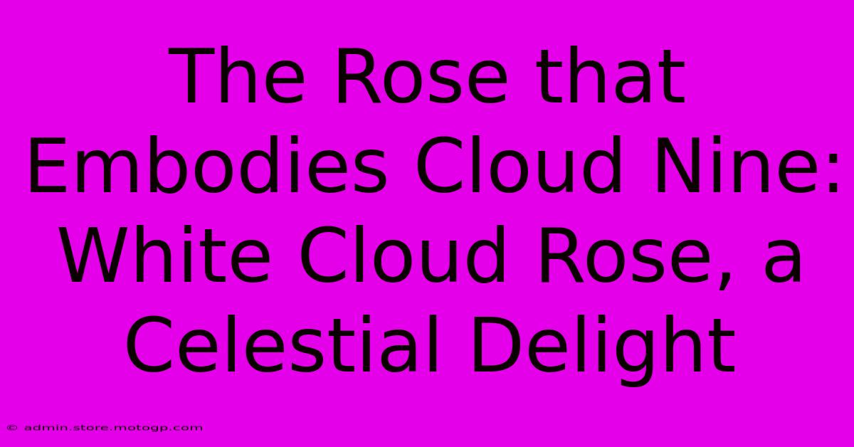 The Rose That Embodies Cloud Nine: White Cloud Rose, A Celestial Delight