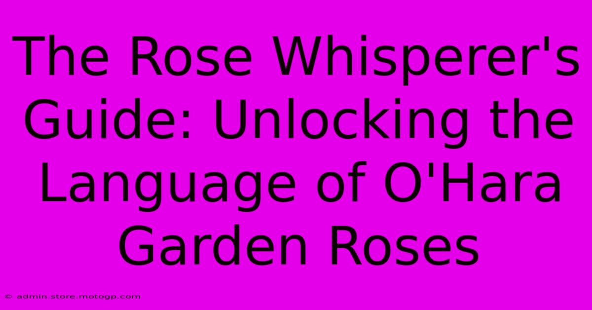 The Rose Whisperer's Guide: Unlocking The Language Of O'Hara Garden Roses