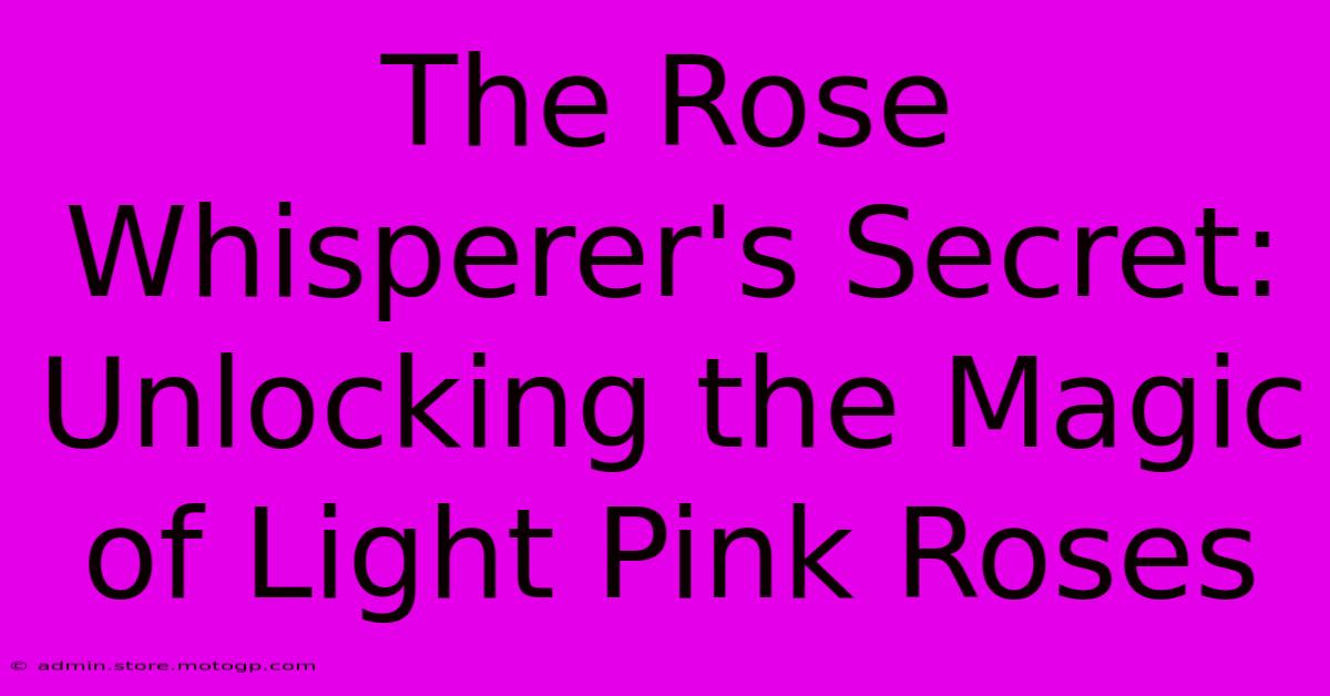 The Rose Whisperer's Secret: Unlocking The Magic Of Light Pink Roses