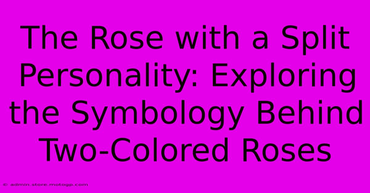 The Rose With A Split Personality: Exploring The Symbology Behind Two-Colored Roses