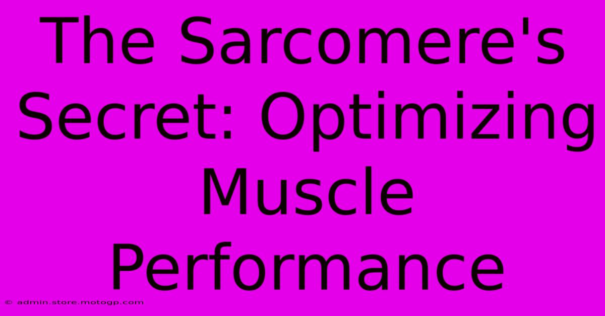 The Sarcomere's Secret: Optimizing Muscle Performance