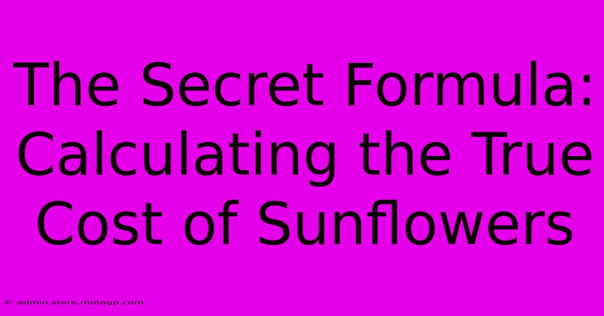 The Secret Formula: Calculating The True Cost Of Sunflowers