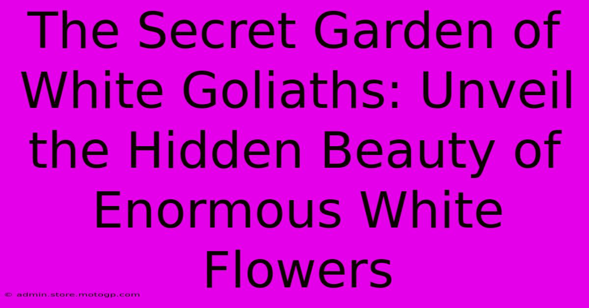 The Secret Garden Of White Goliaths: Unveil The Hidden Beauty Of Enormous White Flowers