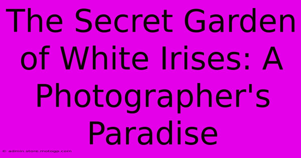 The Secret Garden Of White Irises: A Photographer's Paradise