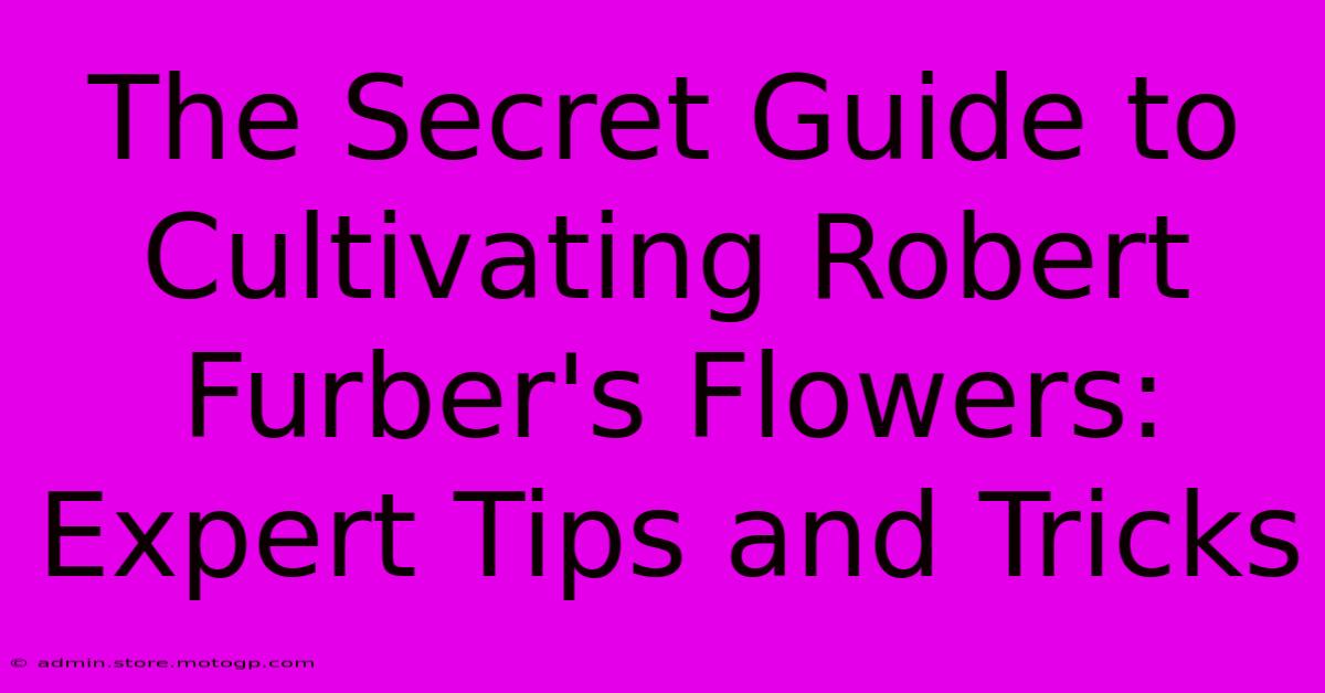 The Secret Guide To Cultivating Robert Furber's Flowers: Expert Tips And Tricks