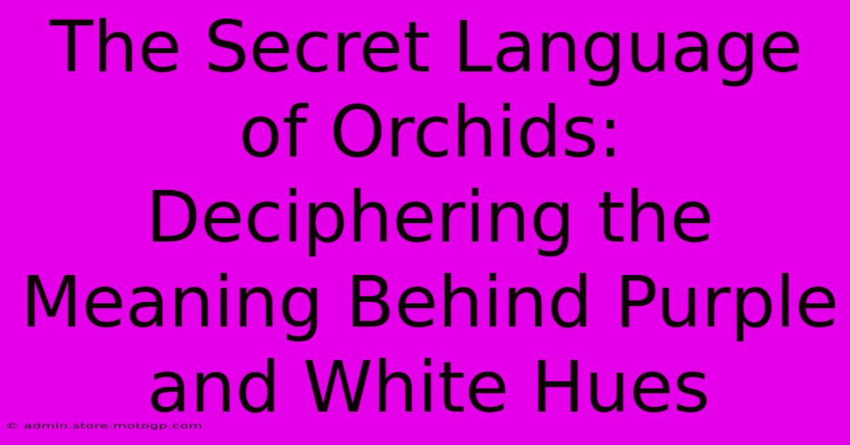 The Secret Language Of Orchids: Deciphering The Meaning Behind Purple And White Hues