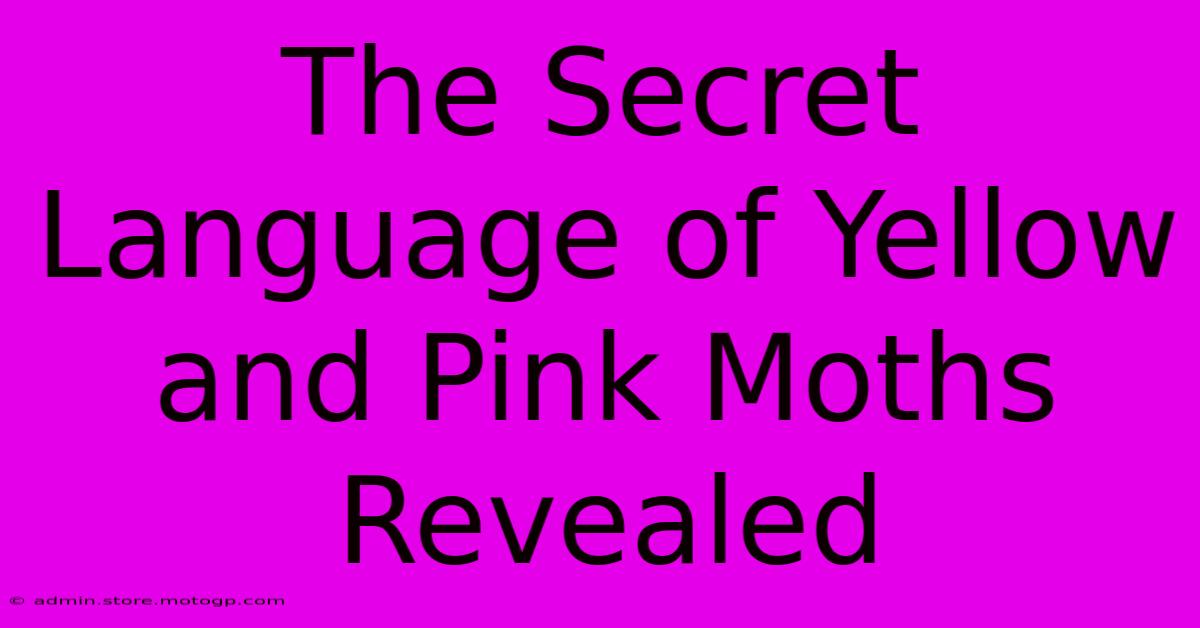 The Secret Language Of Yellow And Pink Moths Revealed