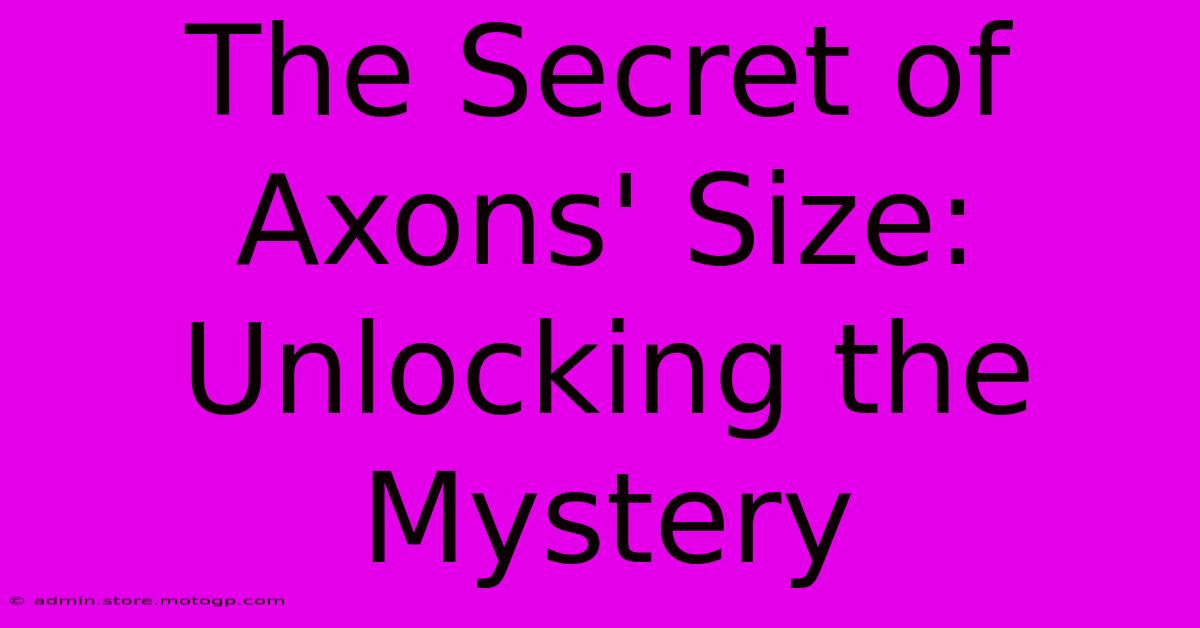 The Secret Of Axons' Size: Unlocking The Mystery