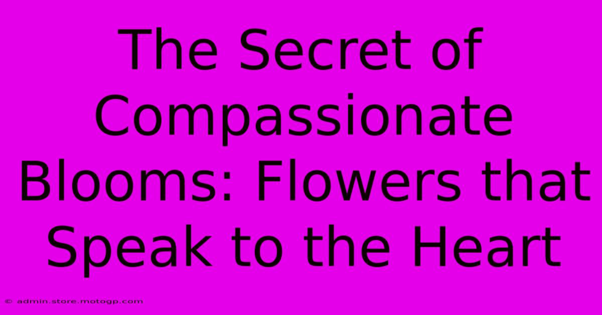 The Secret Of Compassionate Blooms: Flowers That Speak To The Heart