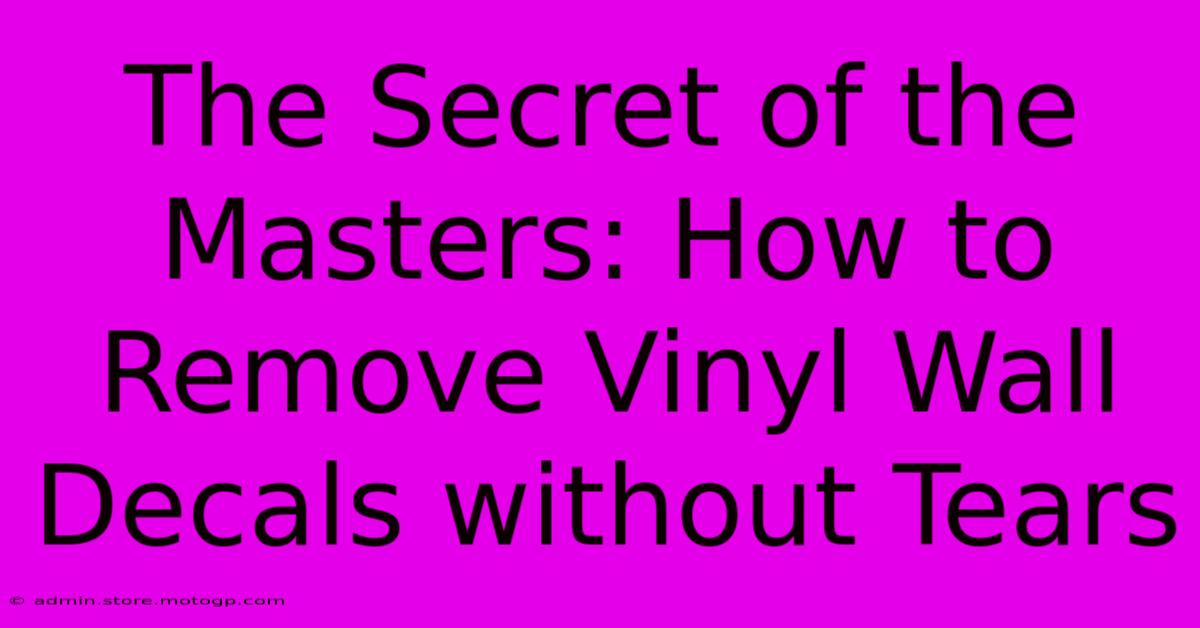 The Secret Of The Masters: How To Remove Vinyl Wall Decals Without Tears