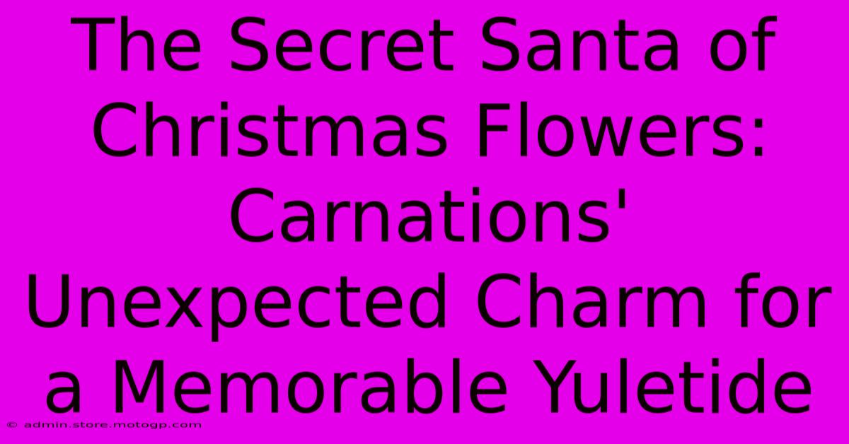 The Secret Santa Of Christmas Flowers: Carnations' Unexpected Charm For A Memorable Yuletide