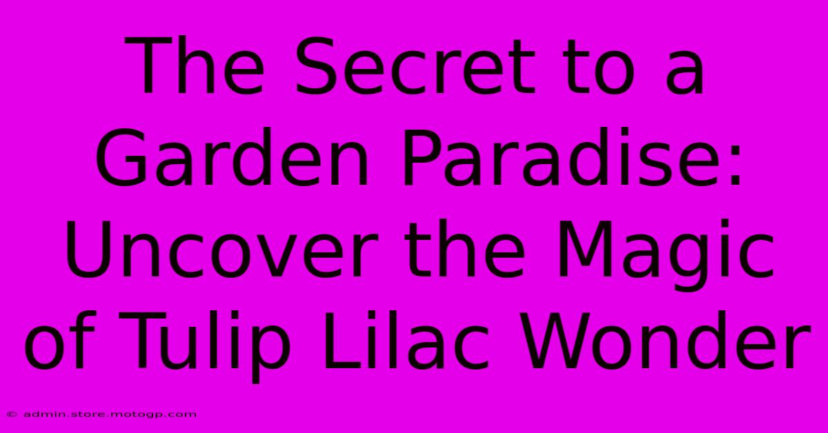 The Secret To A Garden Paradise: Uncover The Magic Of Tulip Lilac Wonder