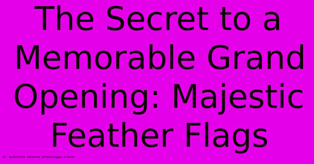 The Secret To A Memorable Grand Opening: Majestic Feather Flags