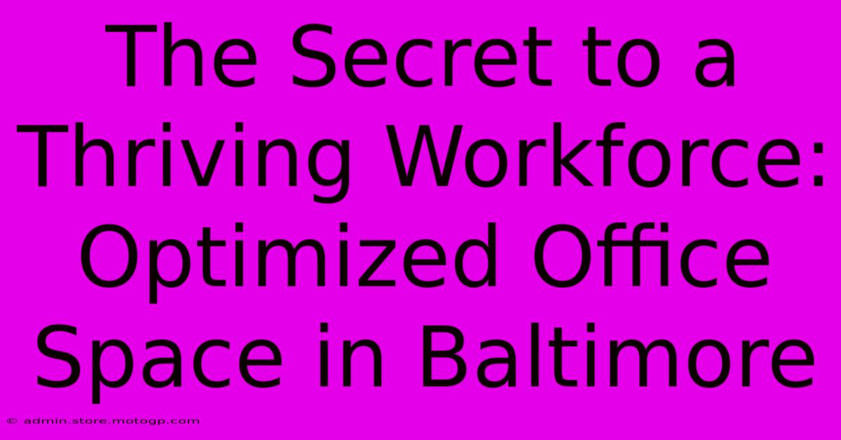 The Secret To A Thriving Workforce: Optimized Office Space In Baltimore