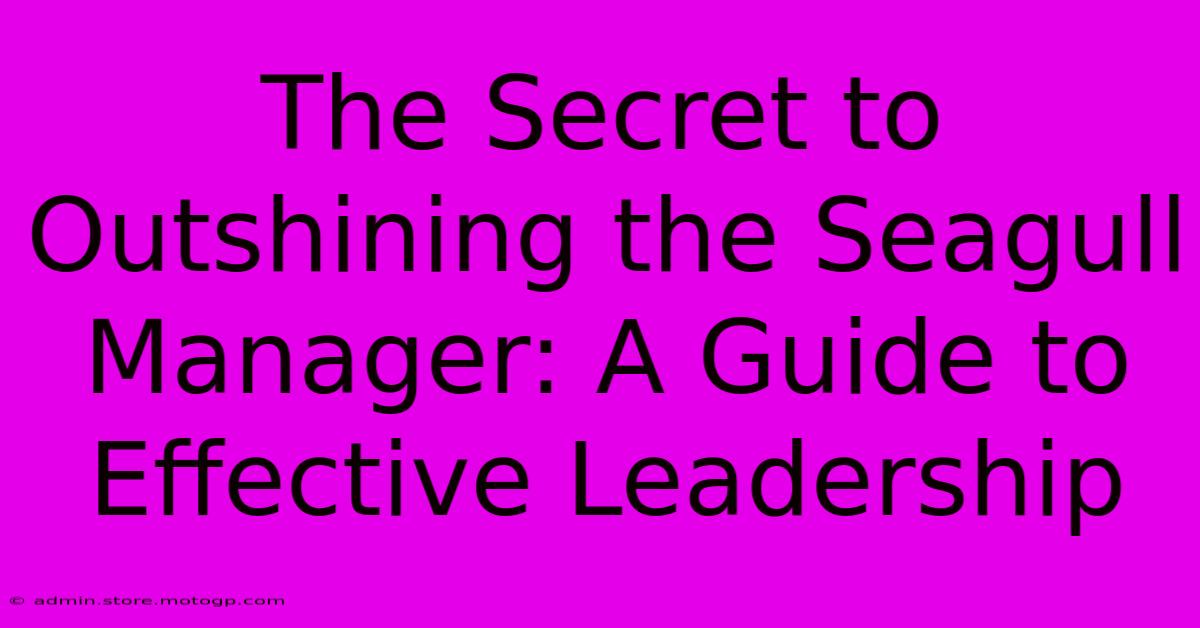 The Secret To Outshining The Seagull Manager: A Guide To Effective Leadership