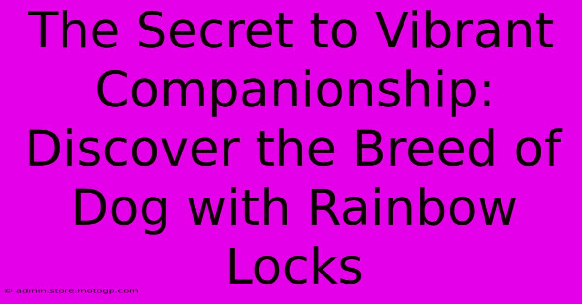 The Secret To Vibrant Companionship: Discover The Breed Of Dog With Rainbow Locks