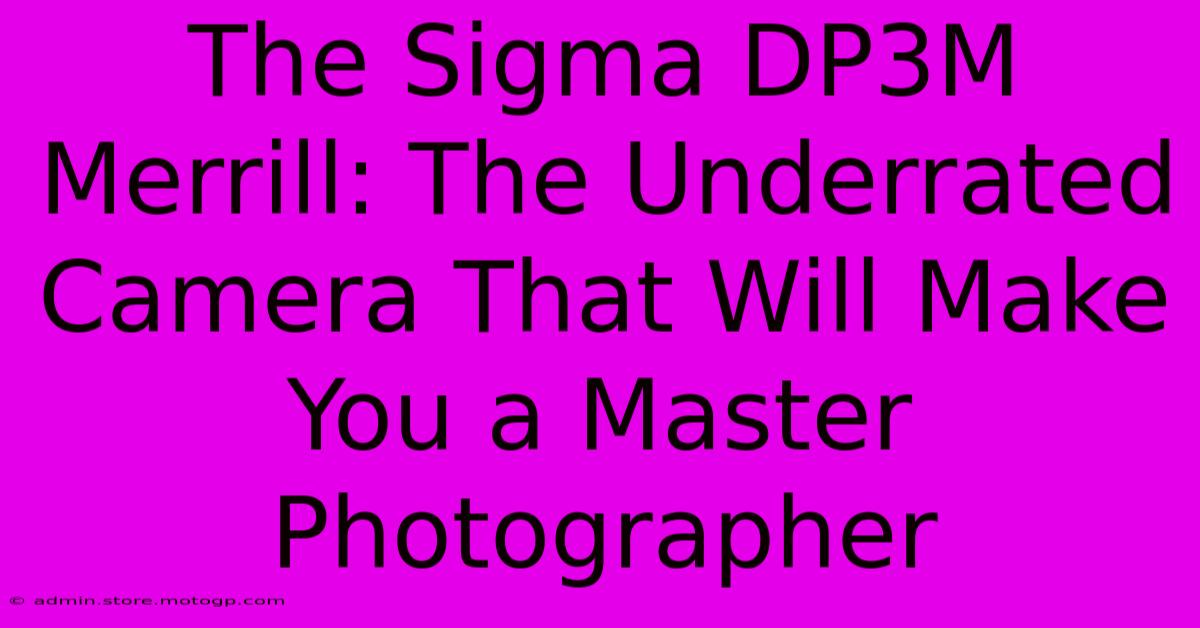 The Sigma DP3M Merrill: The Underrated Camera That Will Make You A Master Photographer