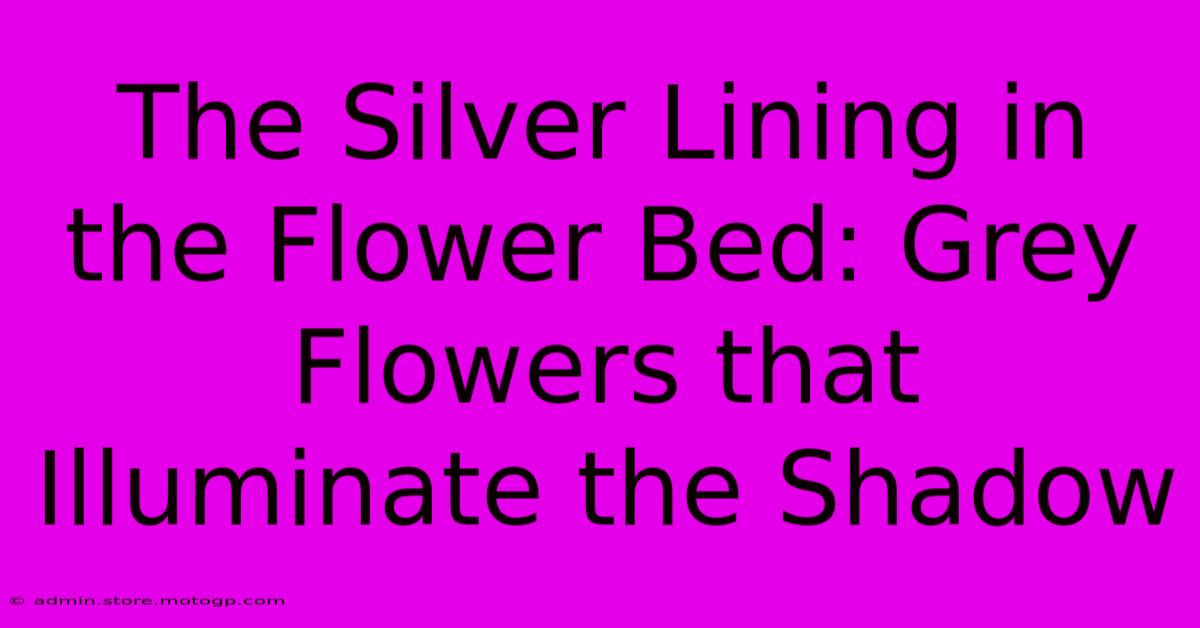 The Silver Lining In The Flower Bed: Grey Flowers That Illuminate The Shadow