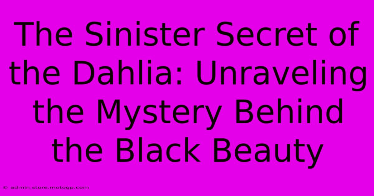 The Sinister Secret Of The Dahlia: Unraveling The Mystery Behind The Black Beauty