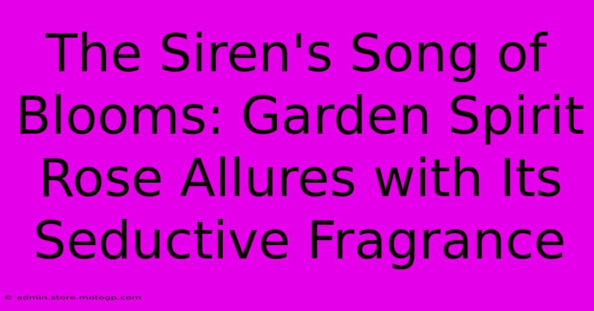 The Siren's Song Of Blooms: Garden Spirit Rose Allures With Its Seductive Fragrance