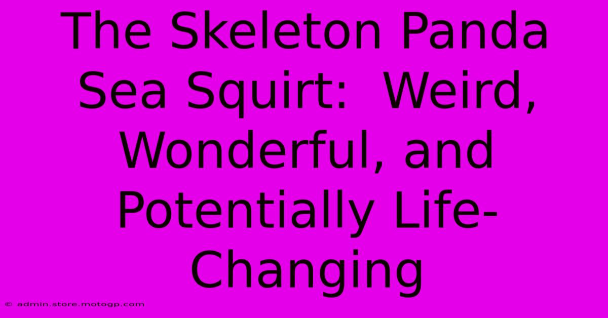 The Skeleton Panda Sea Squirt:  Weird, Wonderful, And Potentially Life-Changing